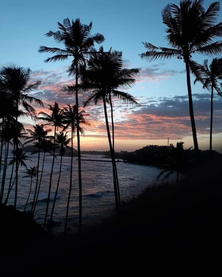 Hotel Coconut Reach Mirissa Zewnętrze zdjęcie