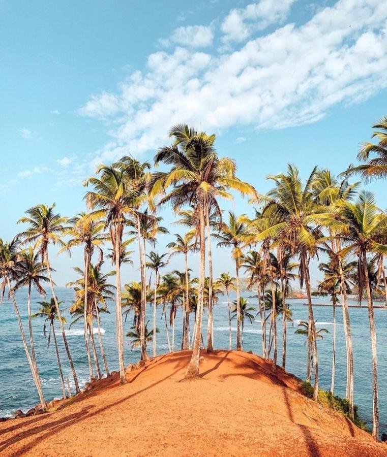 Hotel Coconut Reach Mirissa Zewnętrze zdjęcie