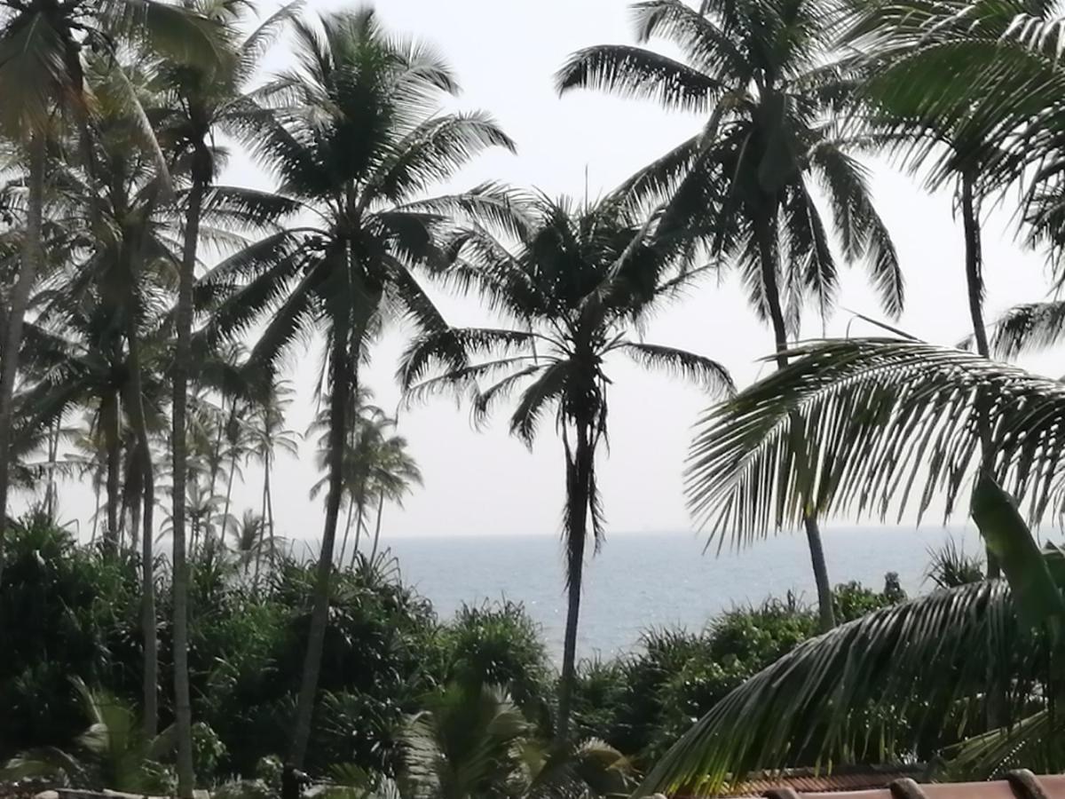 Hotel Coconut Reach Mirissa Zewnętrze zdjęcie